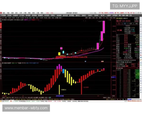 万博这个网站如何盈利：探索其通过技术创新实现持续盈利的路径