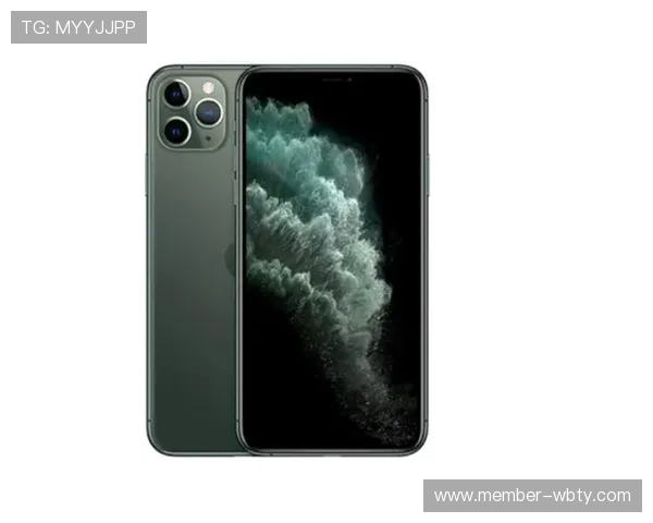 万博手机版max网页版登录常见问题及解决技巧，助你快速解决登录难题