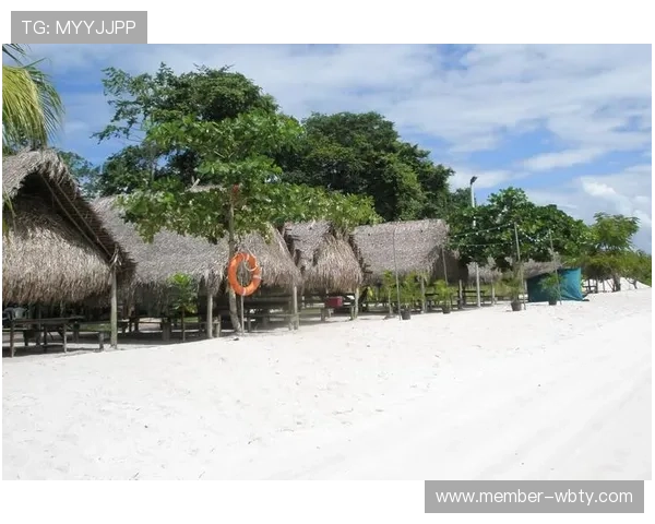 如何通过官网下载manbetx万博app下载确保软件正版与安全