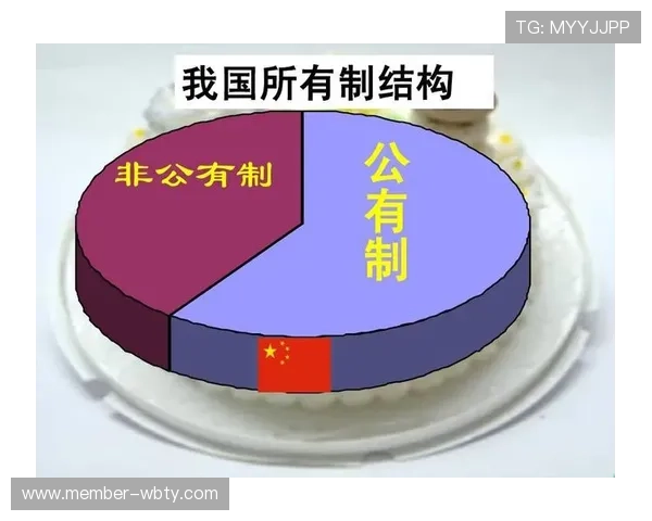 探究万博集团的所有制结构：国企身份还是私企身份